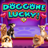 Dodo gaming Slot
